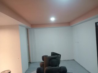 Pladurista. Pintor. Reformas
