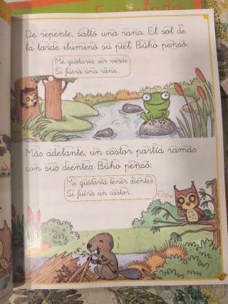 Ensalada de letras, 1 Primaria: lecturas : Proy...