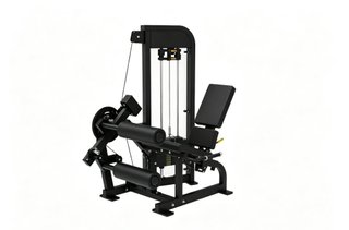 Dual extensión / femoral - máquina gimnasio