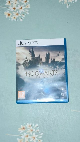 Hogwarts Legacy PS5 Gioco