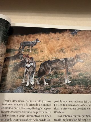 Revista Los Cantabros 2018.  Los Lobos