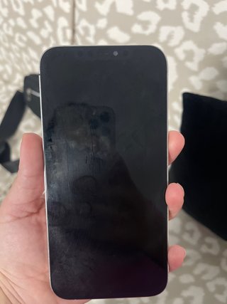 iPhone 12 Pro Max Plata