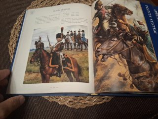Field of Glory Napoleonic Wargaming Rules