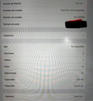 iPad Pro 12.9 (1.ª generación) Wifi + Sim