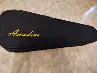 Violín 1/4 Ludwig nuovo, custodia Amadeus, arco