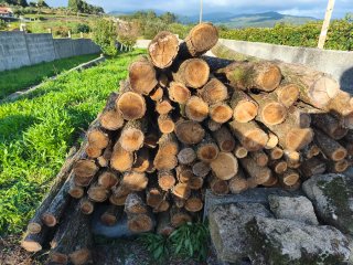 Estacas de acacia para cierre de fincas