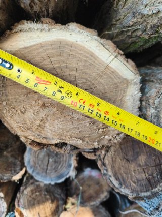 Estacas de acacia para cierre de fincas