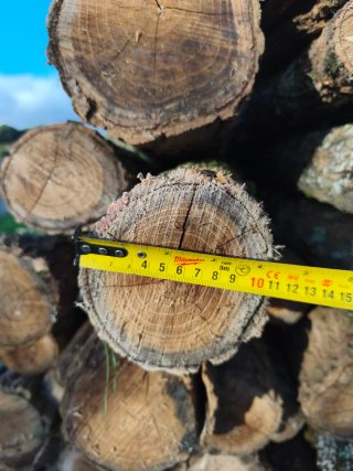 Estacas de acacia para cierre de fincas