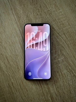 iPhone 12 Pro Max 256GB