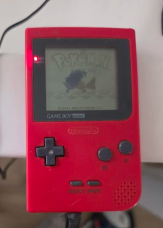 2 Consolas Nintendo Game Boy Pocket