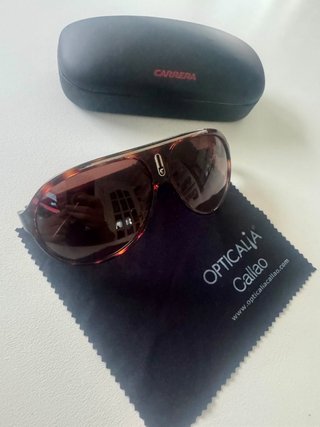 Gafas de sol Carrera marrones y multicolor
