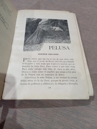 Un libro antiguo Pelusa cuento infantil