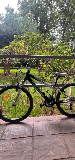 Bicicleta Infantil Rookie Colver 24