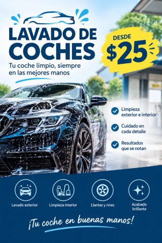 LAVADO DE VEHICULOS A DOMICILIO