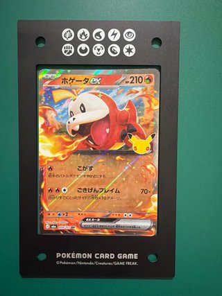 Carta Pokémon Hoogeta EX