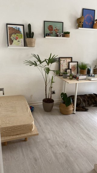 Cama elevada perro grande +45kg