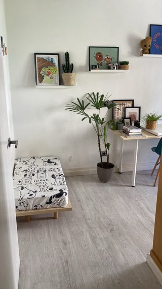 Cama elevada perro grande +45kg