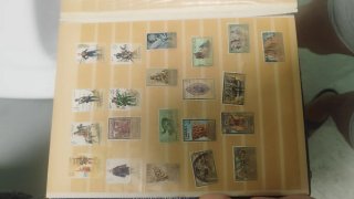 Colección sellos antiguos