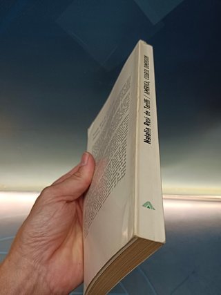 libro, AMÉRICA CUARTA DIMENSIÓN, LOS ETRUSCOS SALIERON DE LOS ANDES por ROSI DE TARIFFI