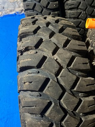 Neumáticos Maxxis Creepy Crawler 37