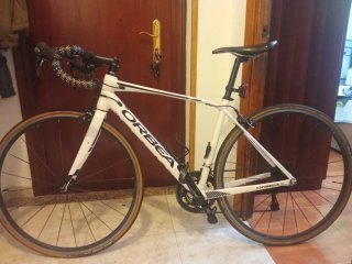 Orbea Avant