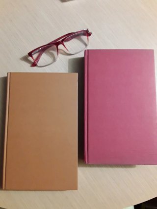 Set due libri vintage