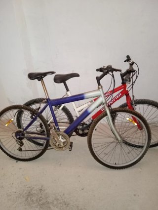 Bicicleta TOP TROTTER