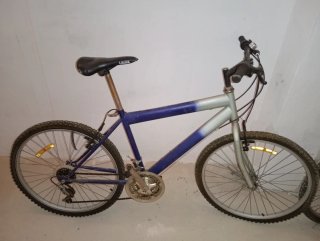 Bicicleta TOP TROTTER
