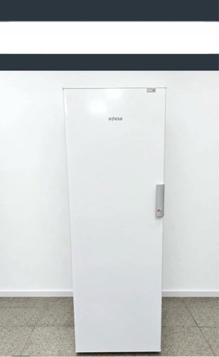 Congelatore Edesa No Frost 185cm