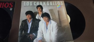 Vinilo Los Chunguitos - Despues de la Tormenta