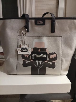 Bolso Karl Lagerfeld Plateado