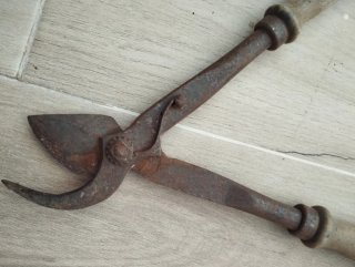 Forbici da potatura antiche