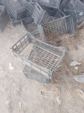 Material agrícola de regalo