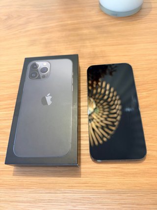 iPhone 13 Pro Max