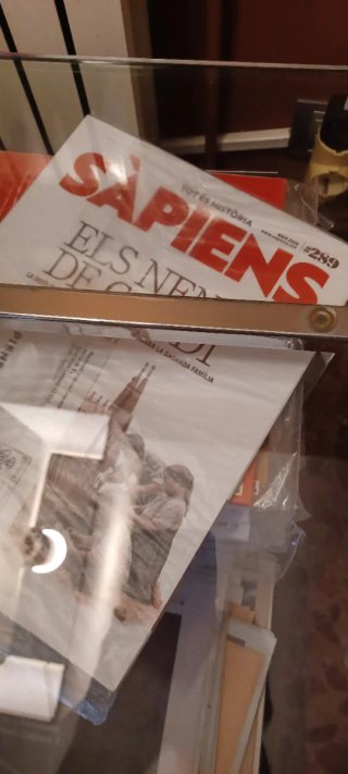 REVISTAS SAPIENS