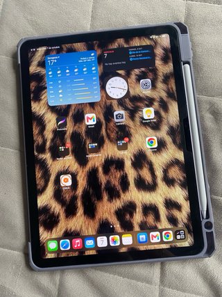 iPad Air 11” + Apple Pencil + Funda