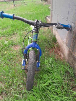 Bicicleta de equilibrio Rider 120