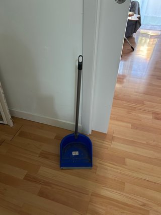 Regalo Recogedor de Mano con Mango Largo