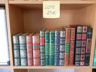 Lote de 14 libros clásicos por solo 25 €-listado