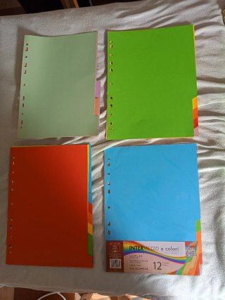 Set 12 Divisori A4 Colori Fluo