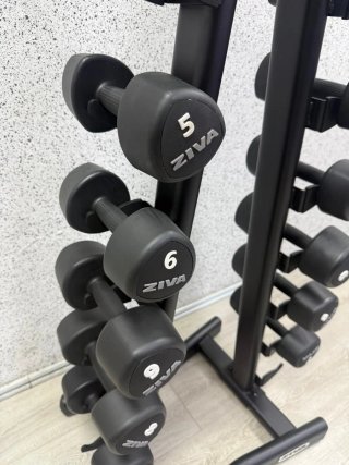 Soporte + Juego de Mancuernas ZIVA