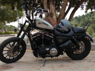 Harley Davidson Sportster Iron 883 (2009)