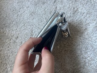 Cartera Monedero Mango Plateada