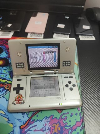 Nintendo ds