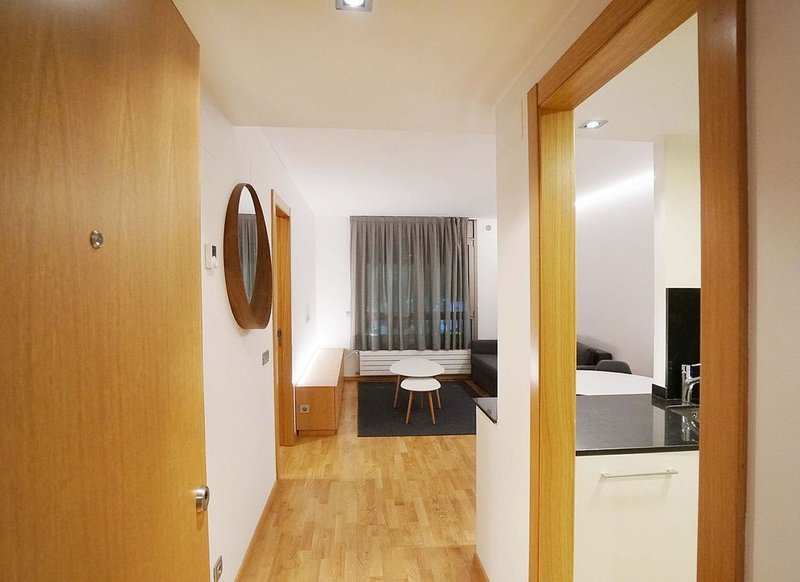 Appartement 1 chambres à louer à Andorra la Vella, Andorre-la-Vieille · 7 sur 33