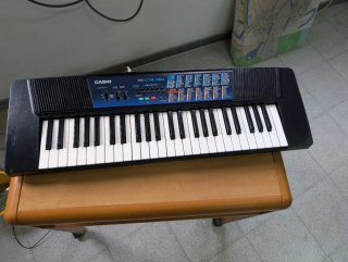 Teclado Casio CTK-120