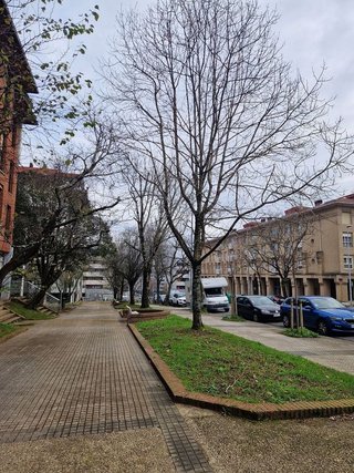 Local comercial en venta en Intxaurrondo en San Sebastián-Donostia