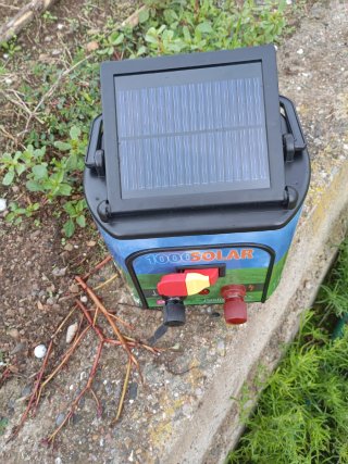 Pastor Eléctrico Solar 1000SOLAR