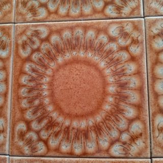 Lote de 16 Azulejos de Cerámica Vidriada
