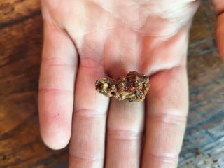 Propóleo a granel 150 gramos